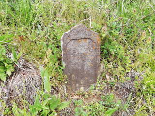 画像に含まれている可能性があるもの:木、屋外